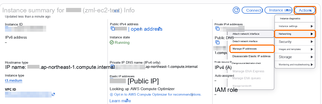 Actions, Networking, Manage IP addresses
