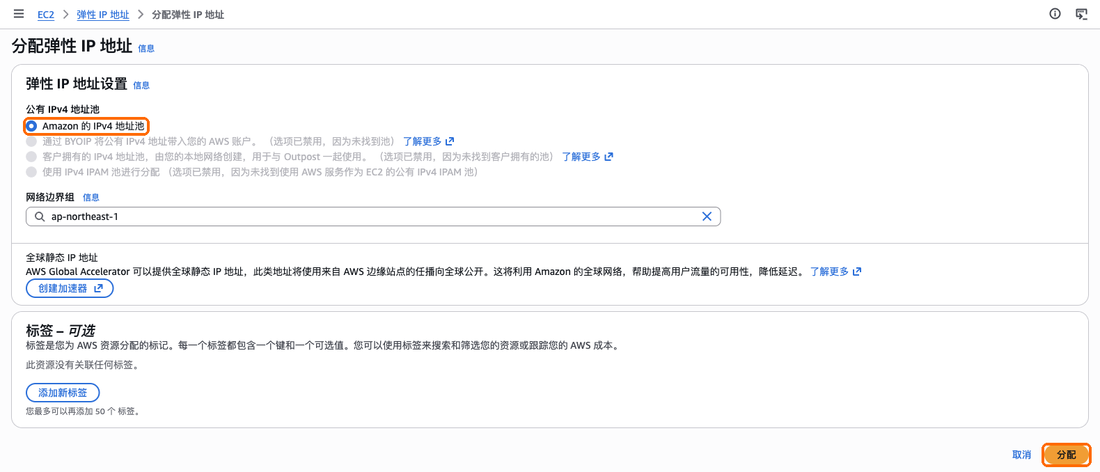 分配弹性 IP 地址:保持默认,选择分配