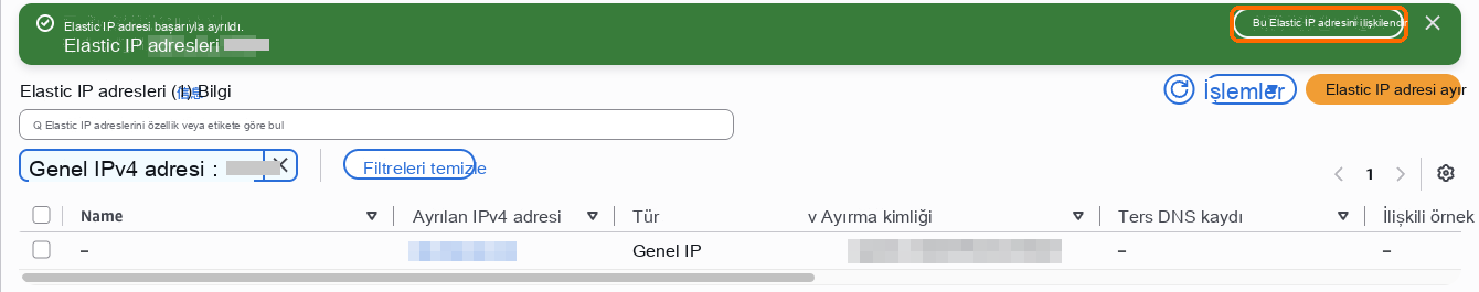 Ayırma işleminden sonra Bu Elastic IP adresini ilişkilendir seçeneğini seçin