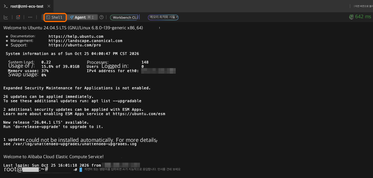 Shell을 클릭해 명령줄로 다시 전환합니다