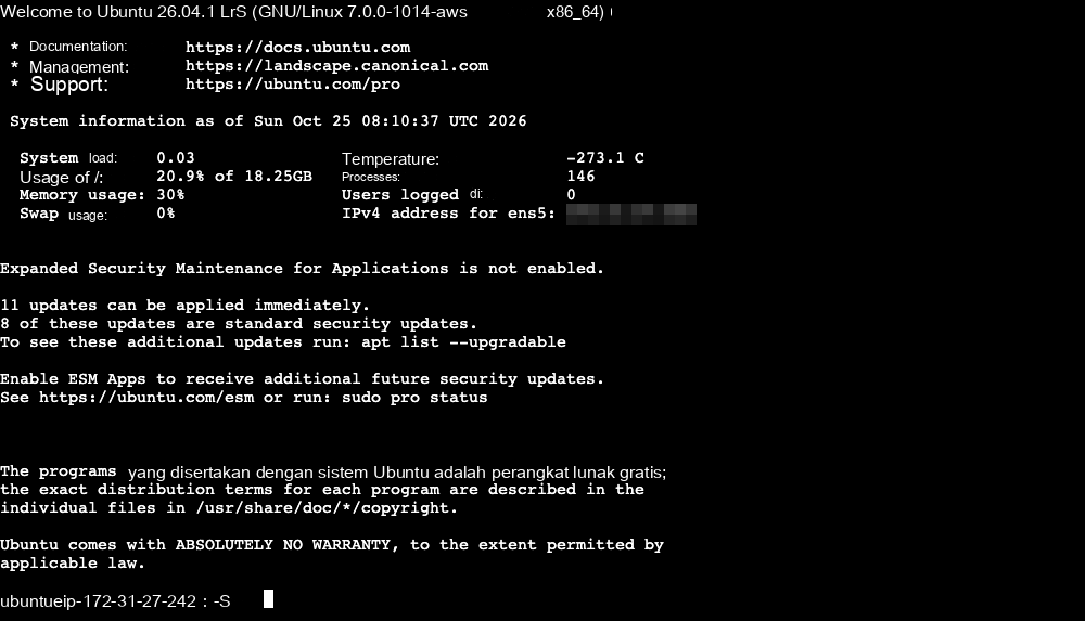 Jendela baris perintah di browser Anda