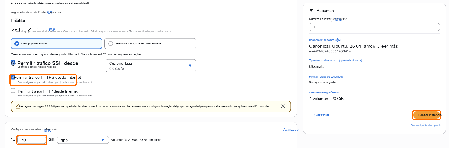Permitir tráfico HTTPS marcado, almacenamiento de 20 GB, Iniciar instancia