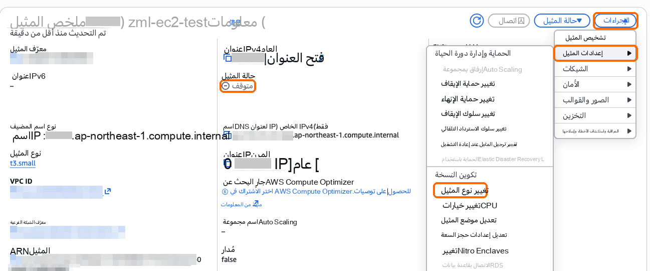 الخادم المتوقف: الإجراءات، إعدادات المثيل، تغيير نوع المثيل