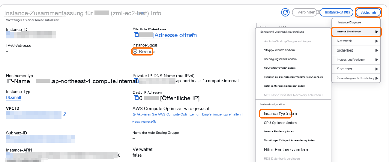 Der gestoppte Server: Aktionen, Instanzeinstellungen, Instanztyp ändern