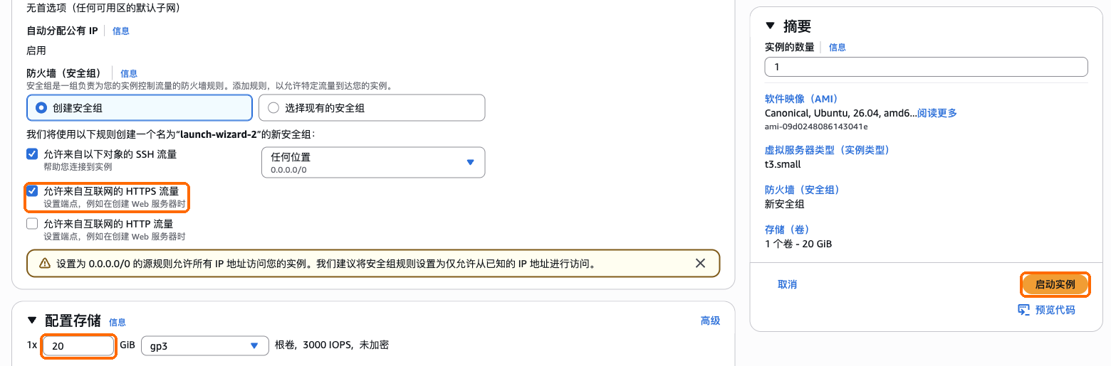 勾上允许 HTTPS 流量,存储改成 20 GB,启动实例