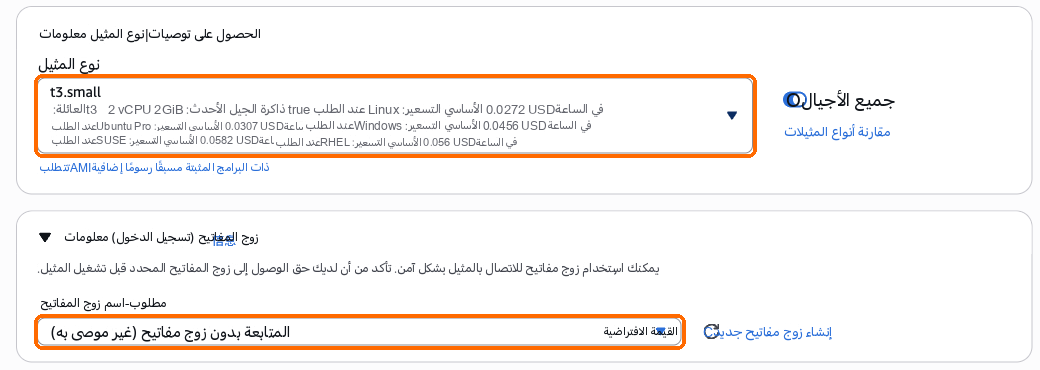 نوع المثيل t3.small، زوج المفاتيح: المتابعة دون زوج مفاتيح